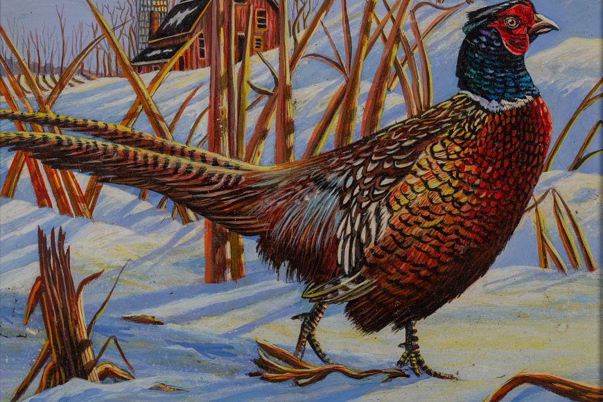 A pheasant walks in a snowy field with a barn and silo in the background.