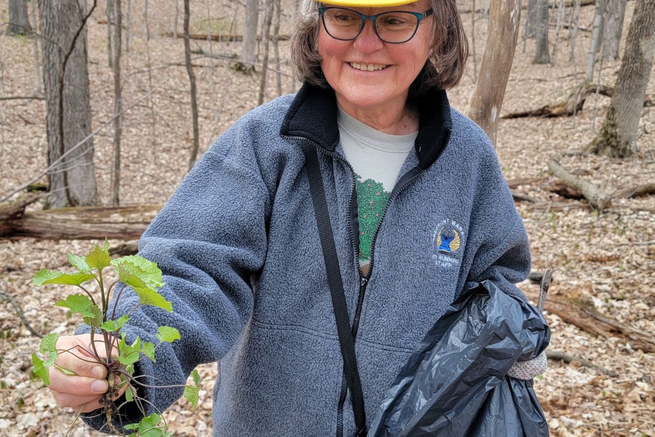 A volunteer holds garlic mustard she has just pulled. 
