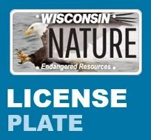 Plate.jpeg